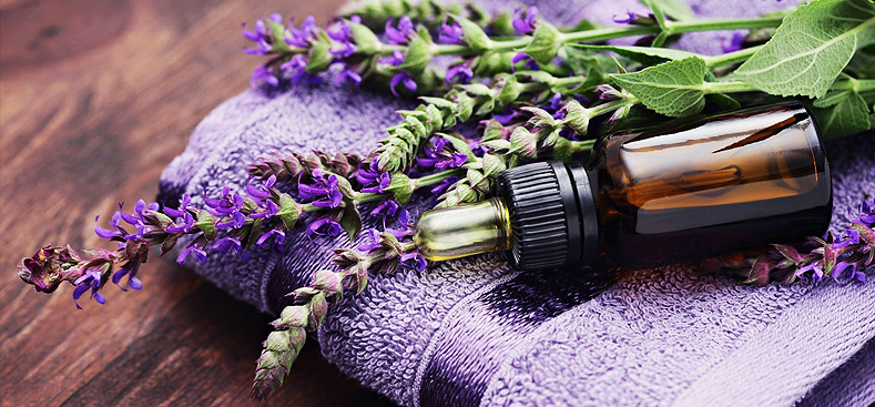 Advantages of Lavender Essential Oil