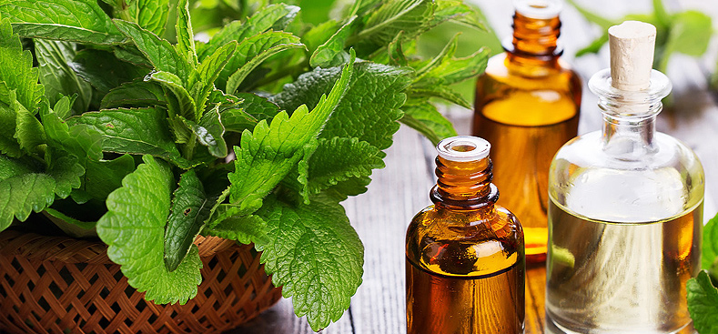 Advantages of Peppermint Essential Oil