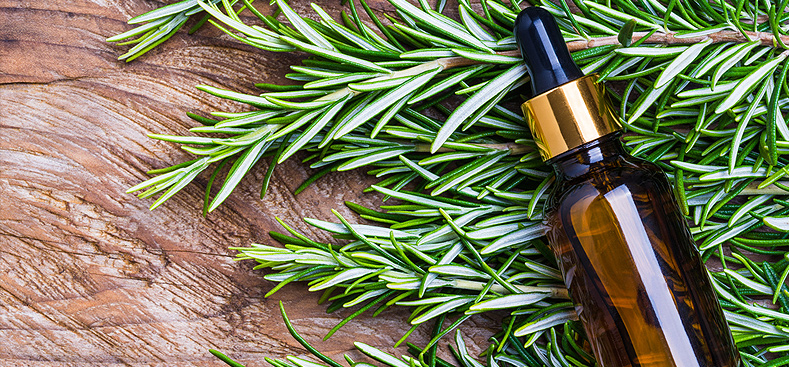 Advantages of Rosemary Essential Oil