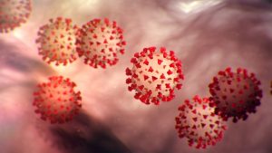 Coronavirus cure and precautionary measures 